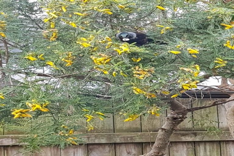 Photo of property in 9a Mistral Place, Paraparaumu Beach, Paraparaumu, 5032