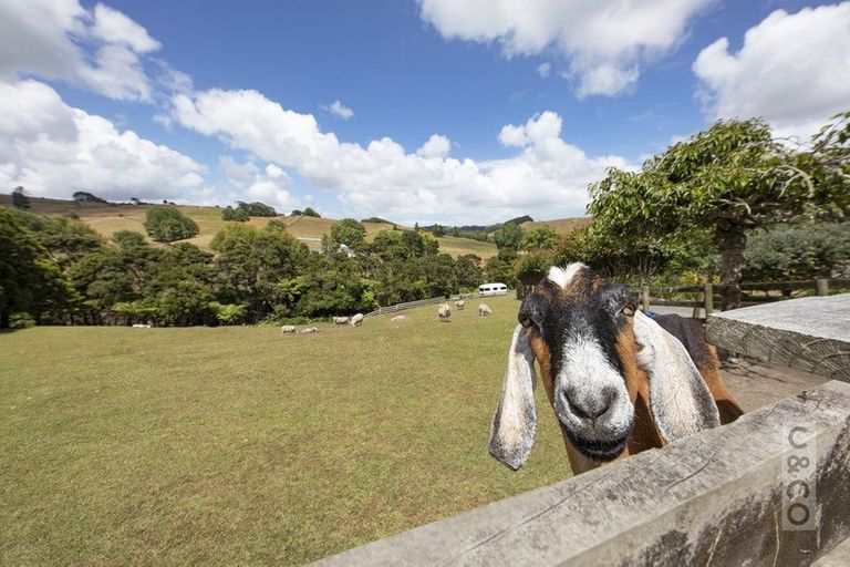 Photo of property in 913 Peak Road, Helensville, 0875