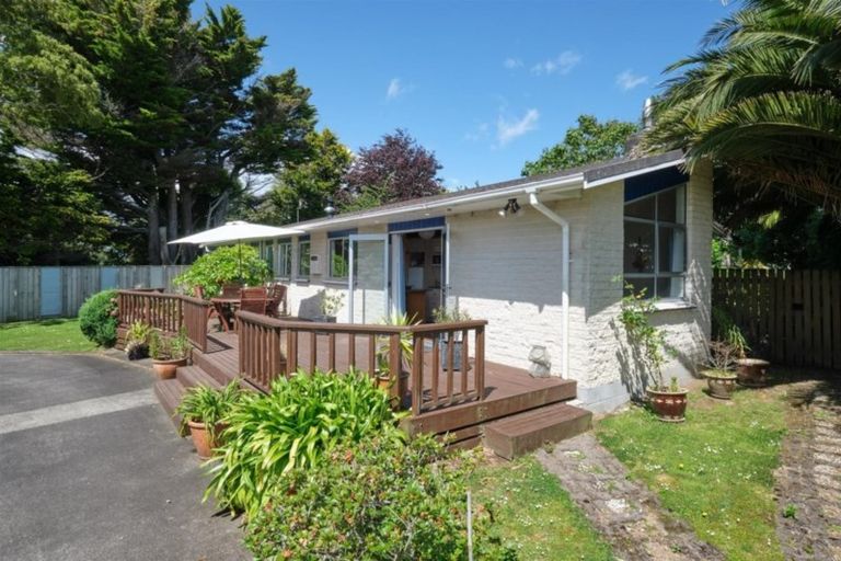 Photo of property in 121 Hamlet Street, Stratford, 4332