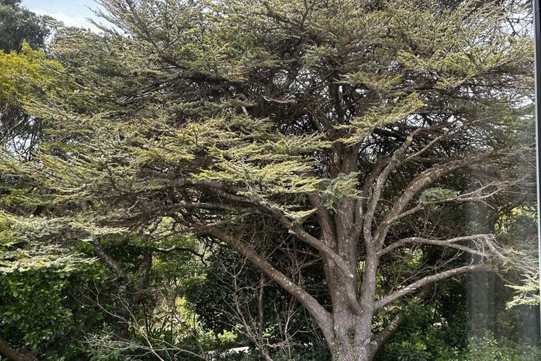 Photo of property in Grosvenor Cl, 19/6 Brown Street, Mount Cook, Wellington, 6021