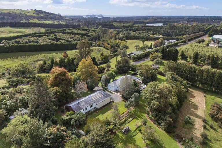 Photo of property in 177 Woodland Road, Tahawai, Katikati, 3170