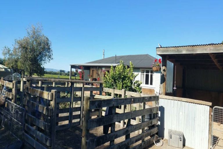 Photo of property in 1130 Matawai Road, Ormond, Gisborne, 4071