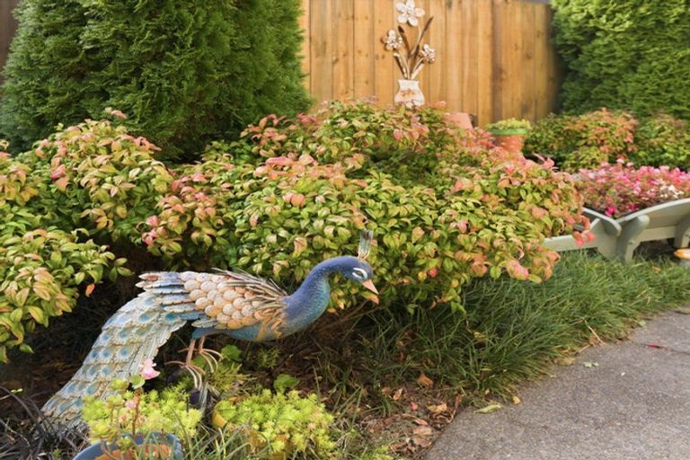 Photo of property in 11 Allington Place, Bethlehem, Tauranga, 3110