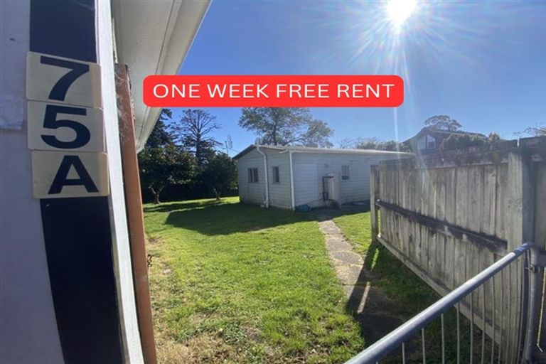 Photo of property in 75 Bruce Avenue, Glenview, Hamilton, 3206