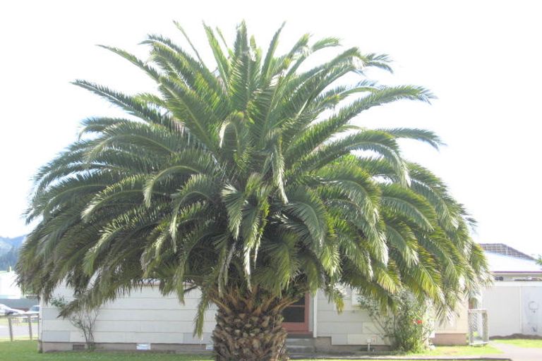Photo of property in 10 Melody Lane, Kaitaia, 0410