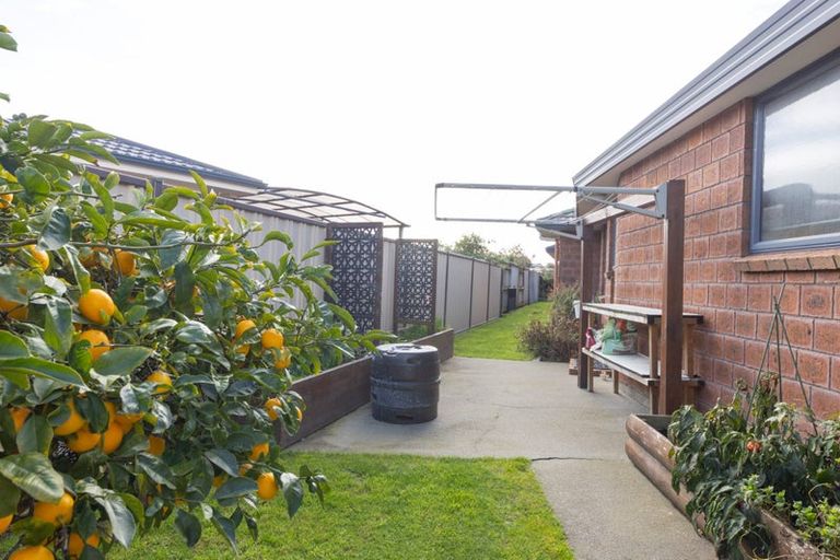 Photo of property in 48 Tennyson Avenue, Kelvin Grove, Palmerston North, 4414
