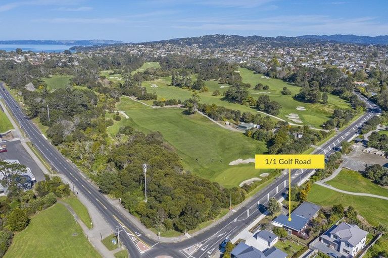 Photo of property in 1 Golf Road, New Lynn, Auckland, 0600
