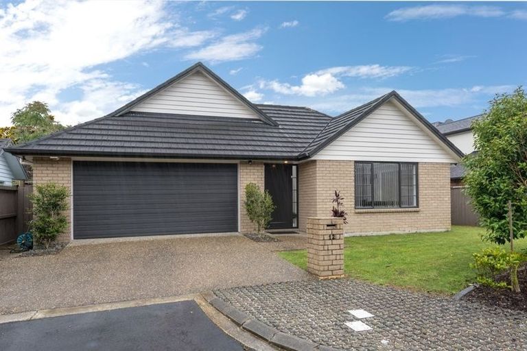 Photo of property in 12 Citron Court, Flat Bush, Auckland, 2016
