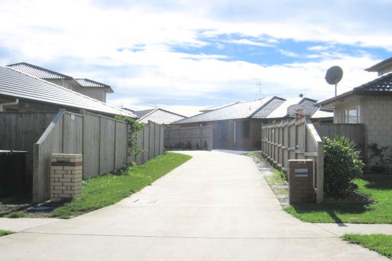 Photo of property in 157 Cyril French Drive, Flat Bush, Auckland, 2016