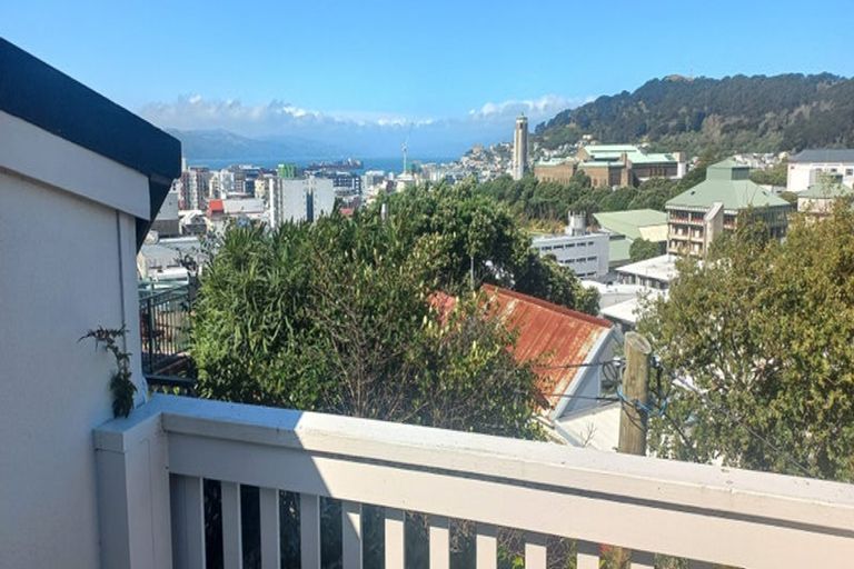 Photo of property in 53 Hankey Street, Mount Cook, Wellington, 6011