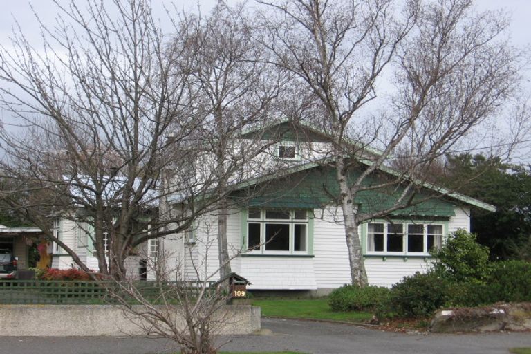 Photo of property in 109 Essex Street, Masterton, 5810