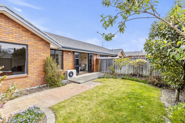 Photo of property in 2/2 Wadsworth Crescent, Redwoodtown, Blenheim, 7201