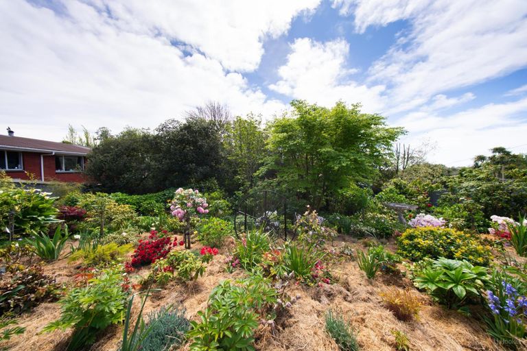 Photo of property in 31 Andrew Street, Marchwiel, Timaru, 7910