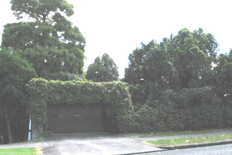 Photo of property in 117 Hutchinson Avenue, New Lynn, Auckland, 0600