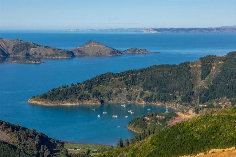 Photo of property in 1476 Port Underwood Road, Port Underwood, Picton, 7281