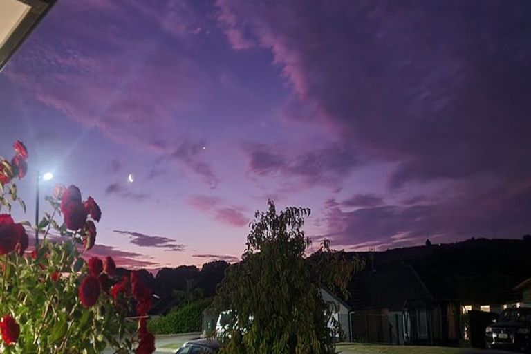 Photo of property in 29 Wingfield Road, Pokeno, 2402