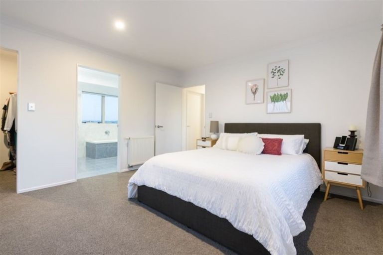 Photo of property in 45b Campbell Road, Mount Maunganui, 3116