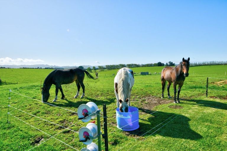 Photo of property in 47 Humphries Road, Waimumu, Gore, 9774