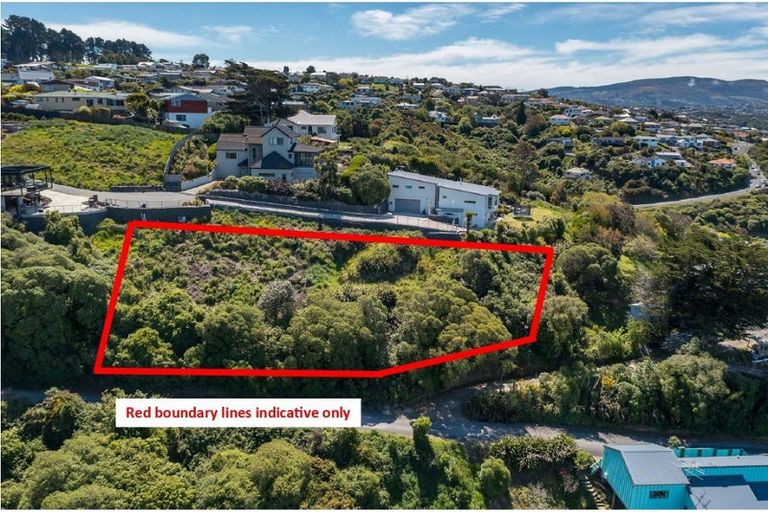Photo of property in 2l Clayton Street, Saint Clair, Dunedin, 9012