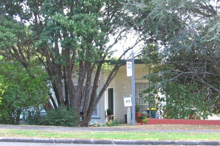 Photo of property in 119a Hutchinson Avenue, New Lynn, Auckland, 0600