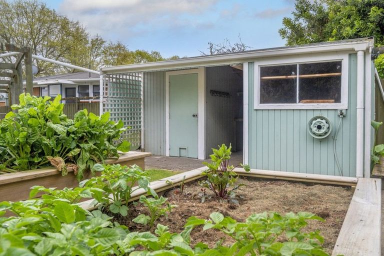 Photo of property in 9 Eleanor Place, Whakatane, 3120