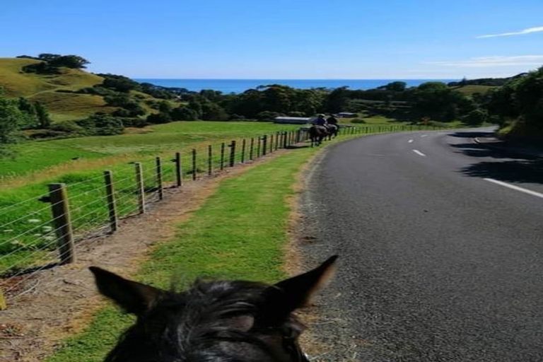Photo of property in 109 Mimiha Ridge Road, Matata, Whakatane, 3194