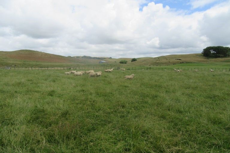 Photo of property in 359 Mangatarata Road, Waipukurau, 4285