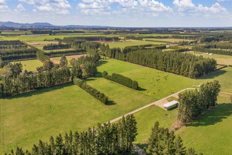 Photo of property in 185 Worlingham Road, Eyrewell, Rangiora, 7476