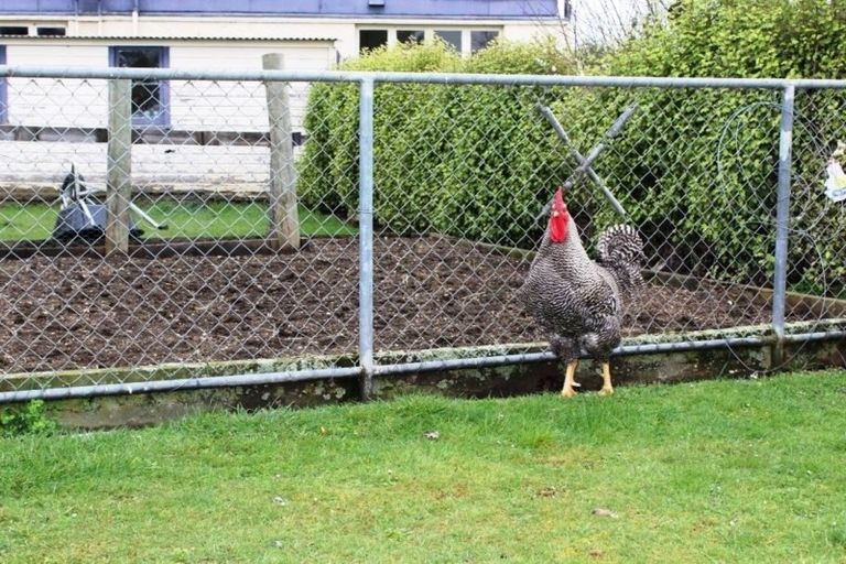 Photo of property in 27 Grant Dalton Street, Mosgiel, 9092