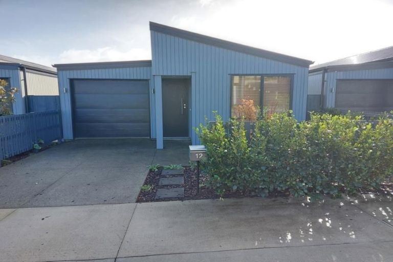 Photo of property in 12 Paddock Lane, Pukekohe, 2120