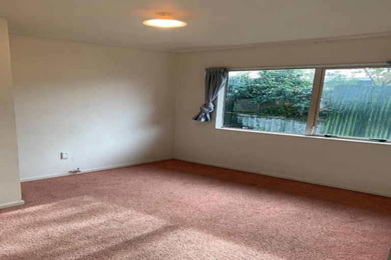 Photo of property in 195 Dey Street, Hamilton East, Hamilton, 3216