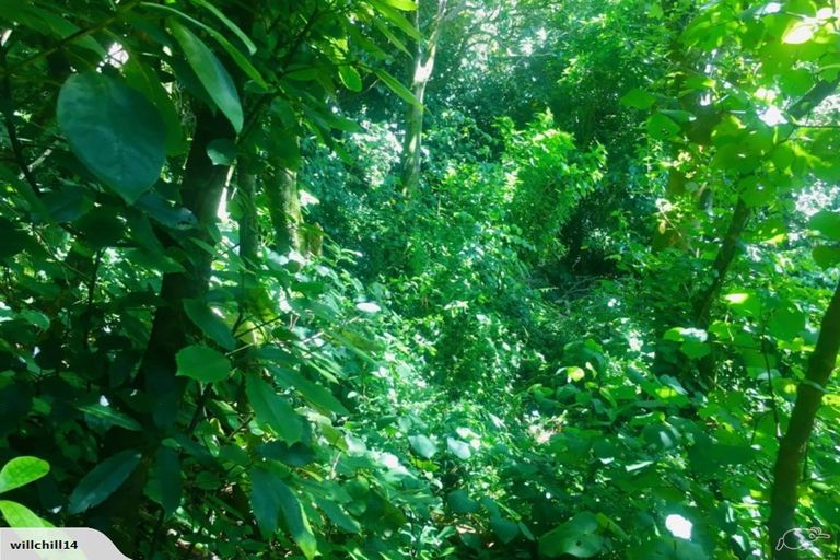 Photo of property in 93c Cecil Road, Wadestown, Wellington, 6012