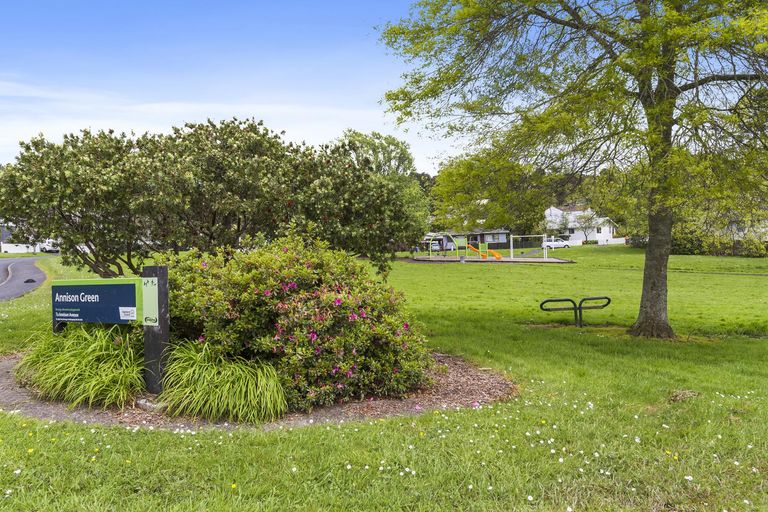 Photo of property in 14 Pitcher Place, Glen Eden, Auckland, 0602