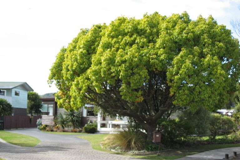 Photo of property in 10 Oak Place, Whakatane, 3120