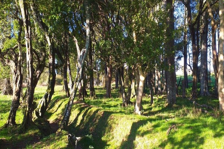 Photo of property in 1/69 Mckenzie Road, Mangere Bridge, Auckland, 2022