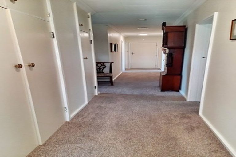 Photo of property in 6 Tybalt Street, Stratford, 4332