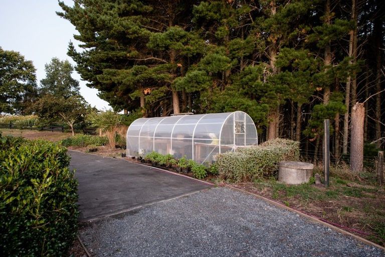 Photo of property in 808 French Pass Road, Karapiro, Cambridge, 3496