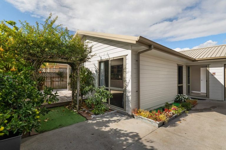 Photo of property in 19b Jocelyn Street, Katikati, 3129