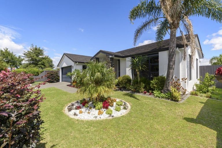 Photo of property in 78 Hawkridge Heights, Bethlehem, Tauranga, 3110