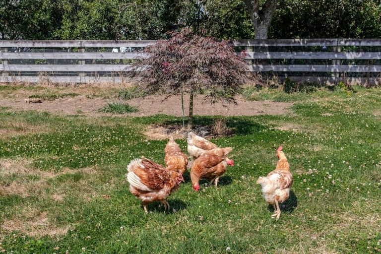 Photo of property in 681 Beechey Street, Pirongia, 3802