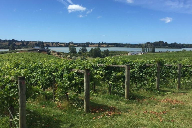 Photo of property in 49 Aranui Road, Mapua, 7005