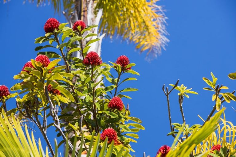 Photo of property in 67 Pinehurst Drive, Pauanui, Hikuai, 3579