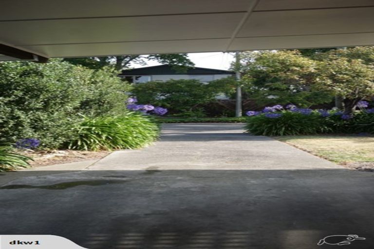 Photo of property in 83 Holly Road, St Albans, Christchurch, 8014