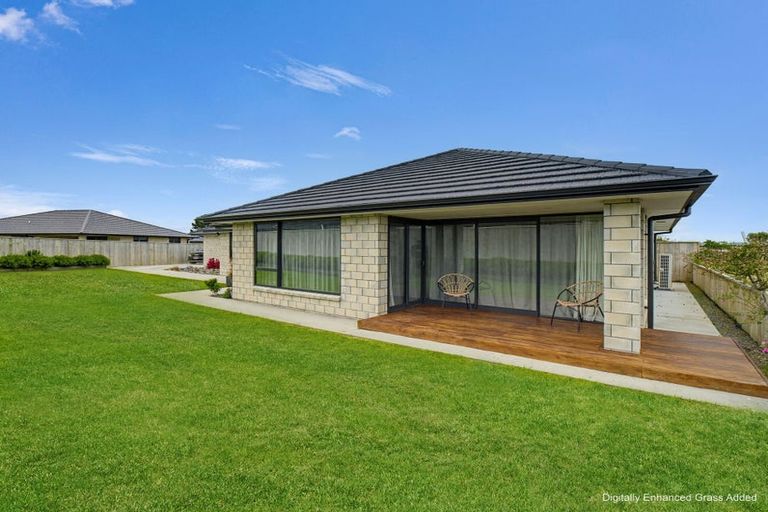 Photo of property in 55 Tawhero Street, Gonville, Whanganui, 4501