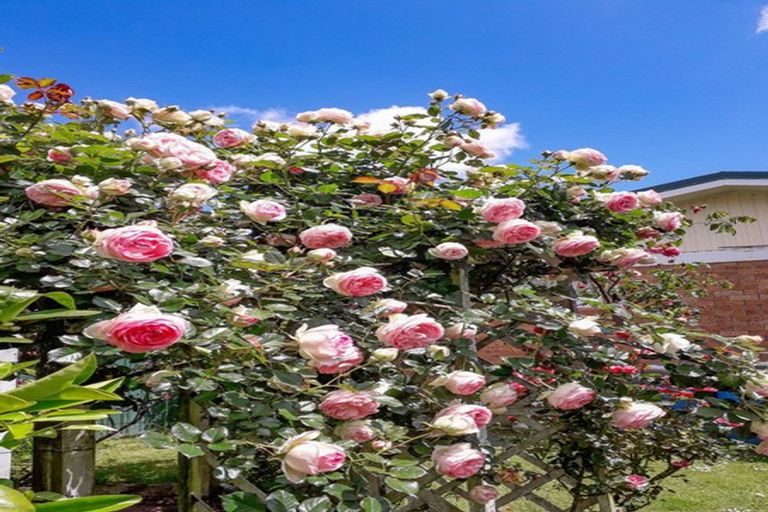 Photo of property in 5 Eleanor Place, Whakatane, 3120