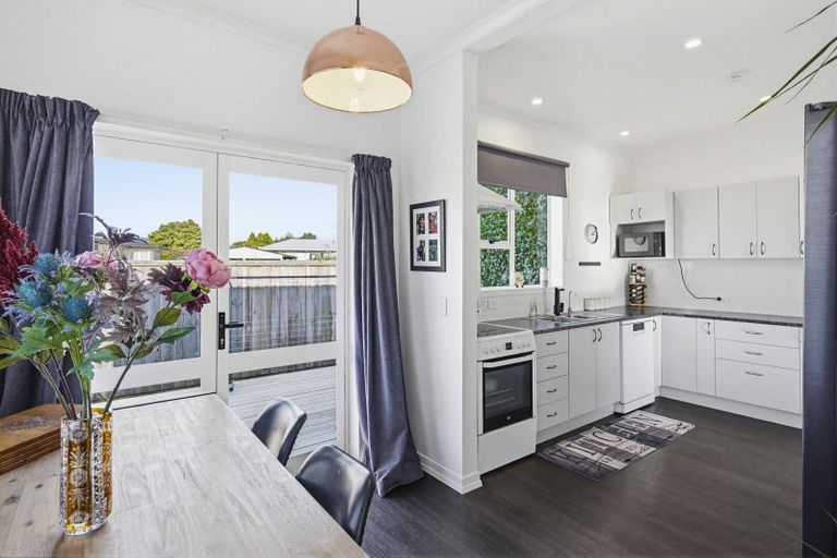 Photo of property in 38 Princes Street, Levin, 5510