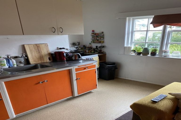 Photo of property in 46 Wright Street, Mount Cook, Wellington, 6021