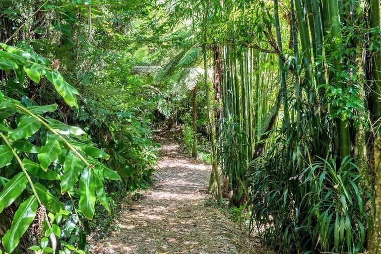 Photo of property in 42 Kopiko Road, Titirangi, Auckland, 0604