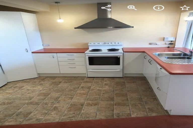 Photo of property in 55 Bedford Street, Northland, Wellington, 6012