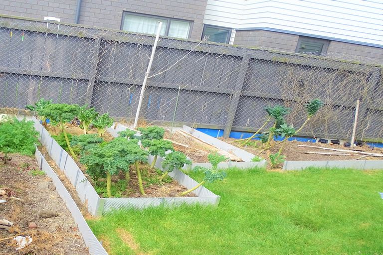 Photo of property in 9 Hirimate Place, Flat Bush, Auckland, 2019